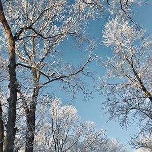 Meet your Posher, Judy